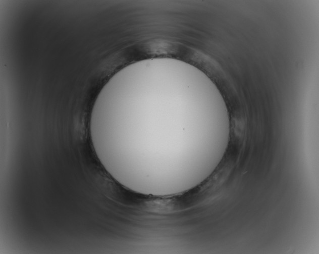 X0000089390422200706291338