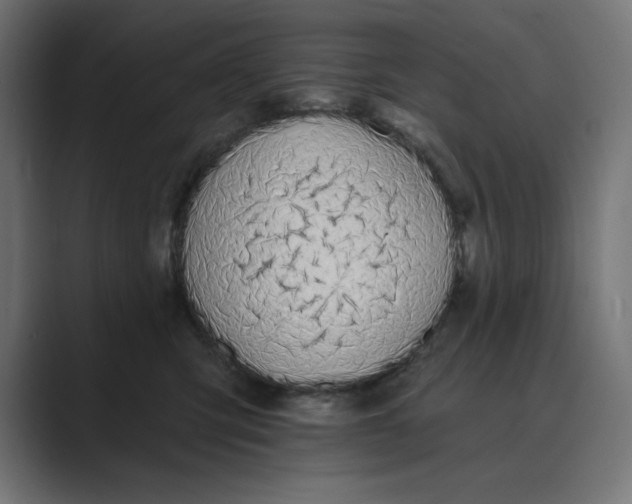 X0000089390423200706291338