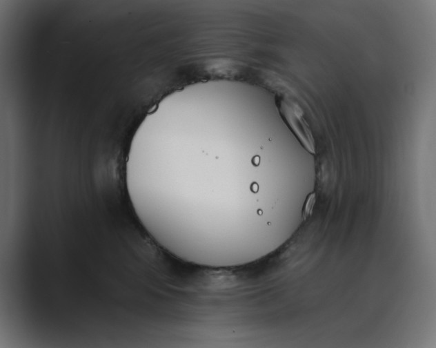 X0000089390424200706291338