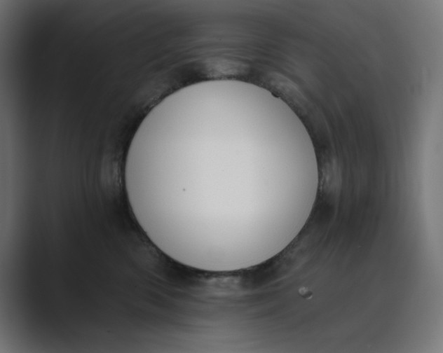 X0000089390426200706291338