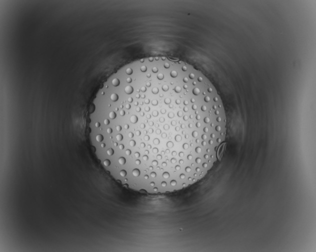X0000089390427200706291338