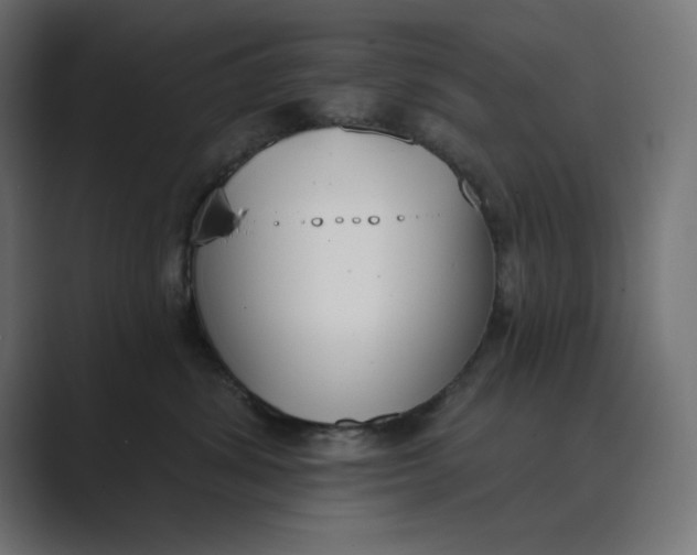 X0000089390428200706291338