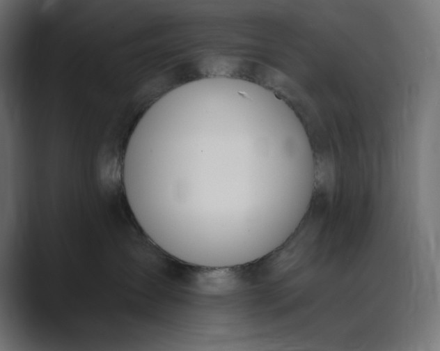 X0000089390431200706291338
