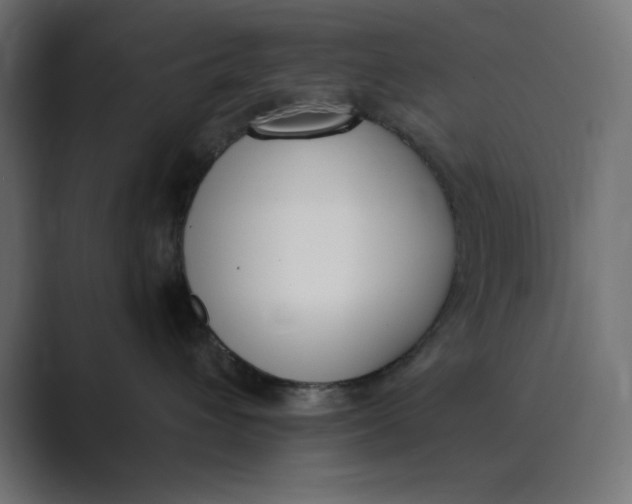 X0000089390432200706291338