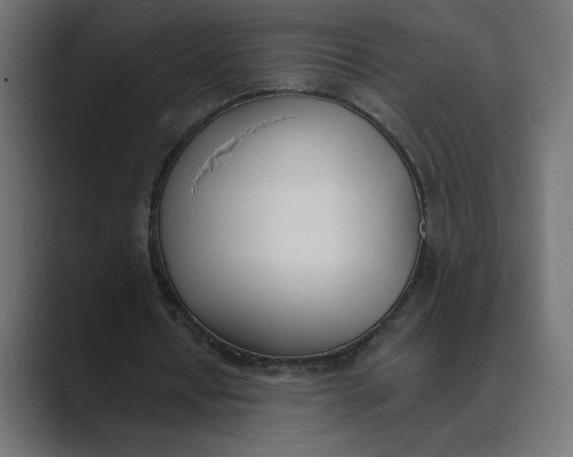X0000089390434200706291337