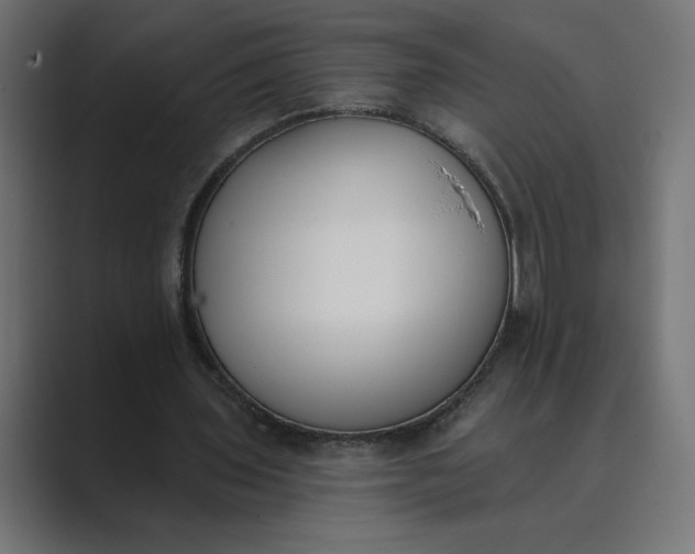 X0000089390435200706291337