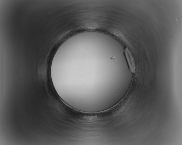 X0000089390440200706291337