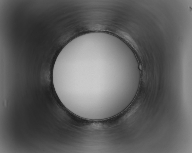 X0000089390441200706291337