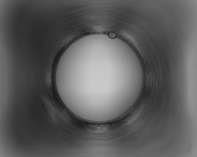 X0000089390443200706291337