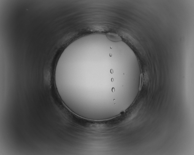 X0000089390444200706291337