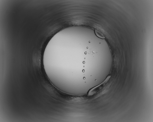X0000089390446200706291337