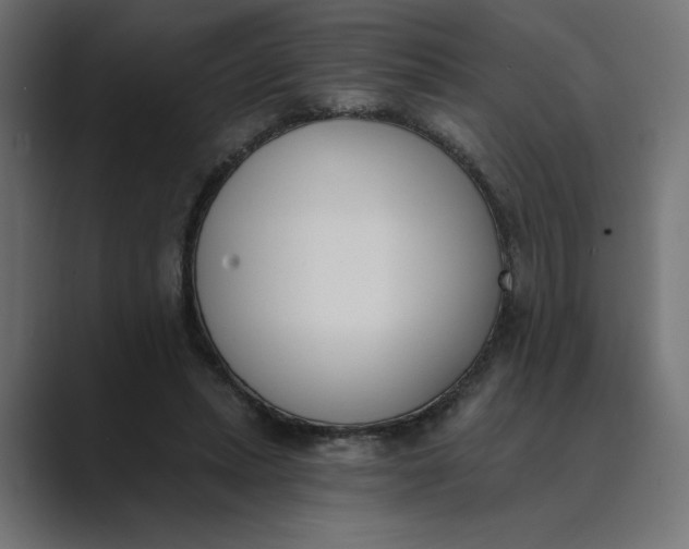 X0000089390447200706291337