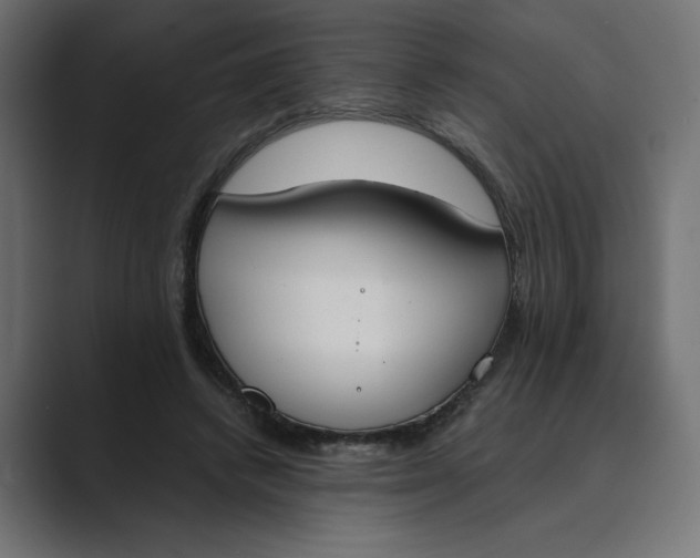 X0000089390448200706291337