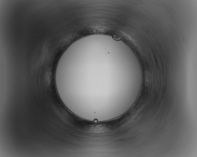 X0000089390451200706291337