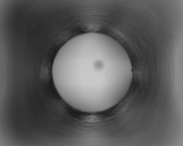 X0000089390460200706291338
