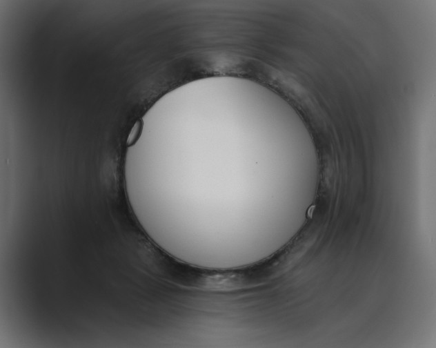 X0000089390461200706291338
