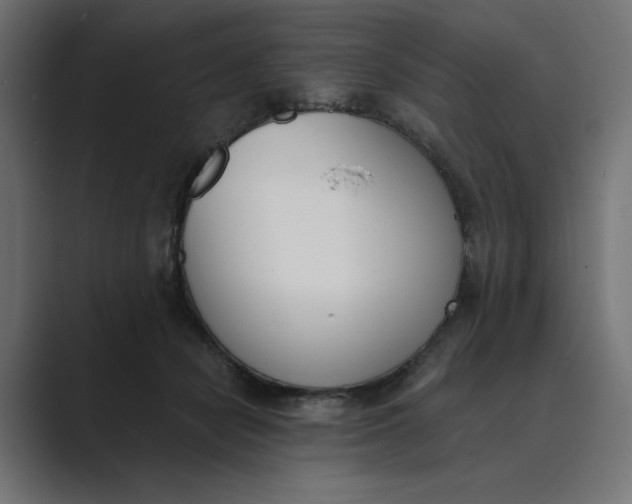 X0000089390462200706291338