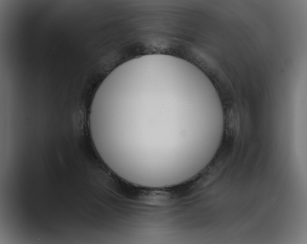 X0000089390463200706291338