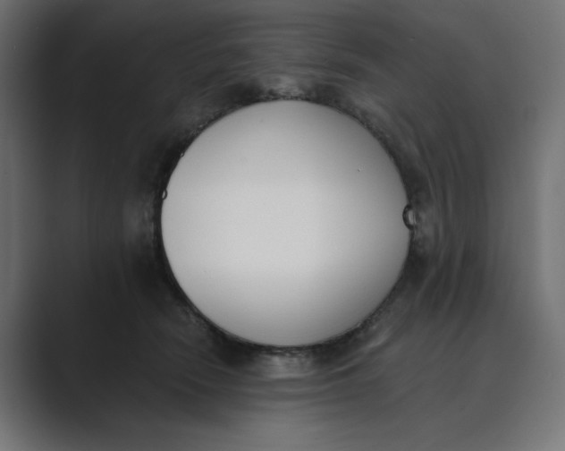X0000089390466200706291338
