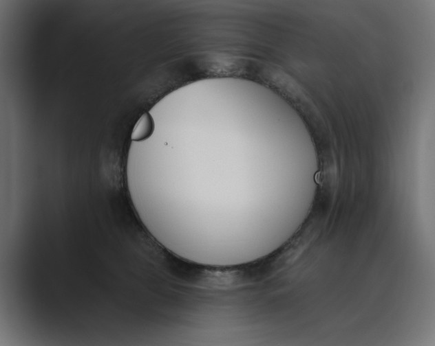 X0000089390469200706291338
