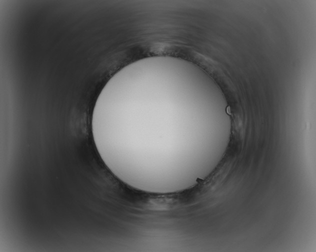 X0000089390470200706291338