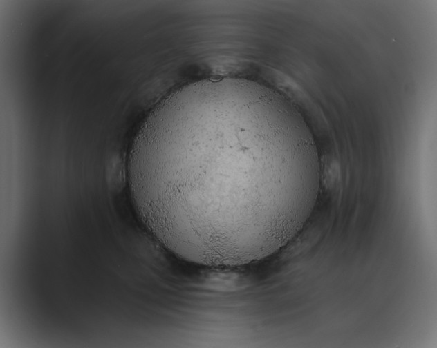 X0000089390471200706291338
