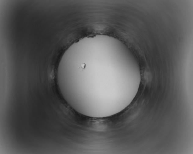X0000089390472200706291338