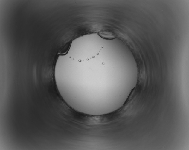 X0000089390473200706291338