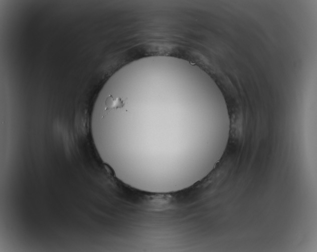 X0000089390474200706291338