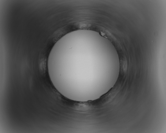 X0000089390475200706291338