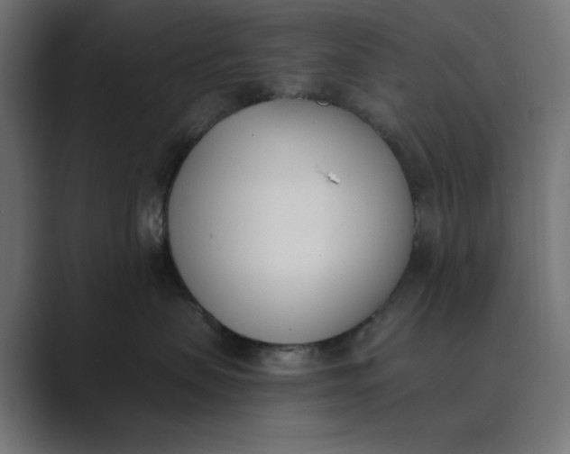 X0000089390479200706291338