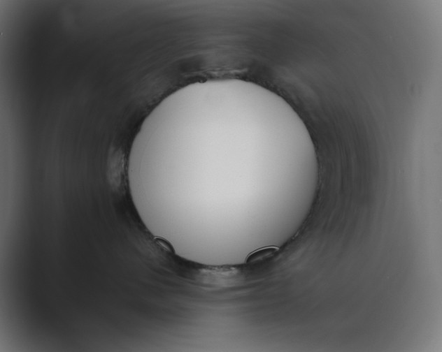 X0000089390480200706291338