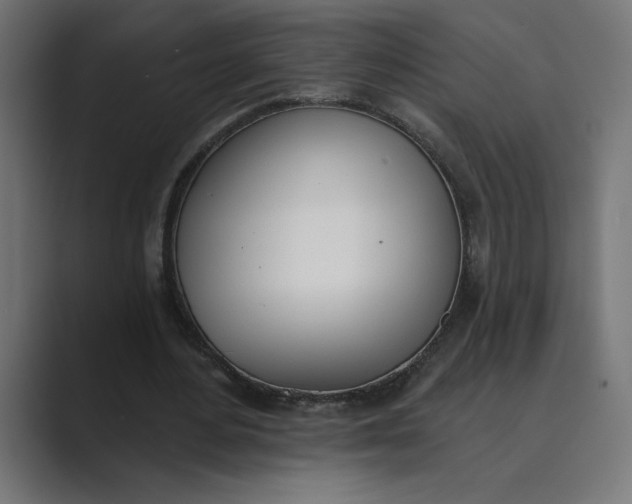 X0000089390484200706291337