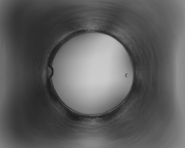 X0000089390488200706291337
