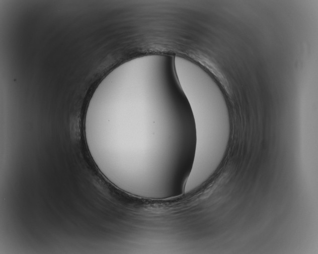 X0000089390489200706291337