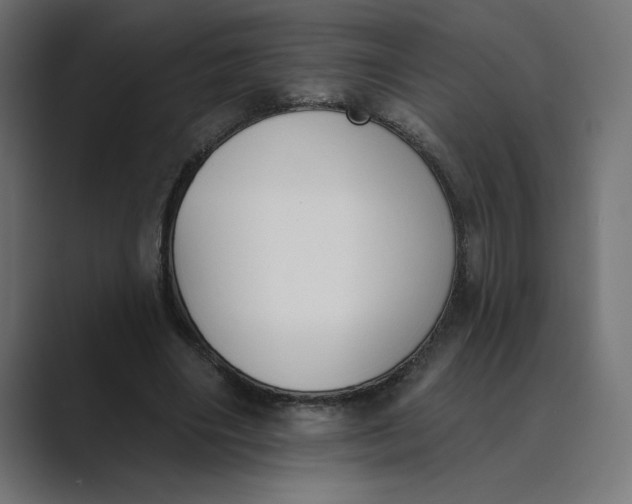 X0000089390490200706291337
