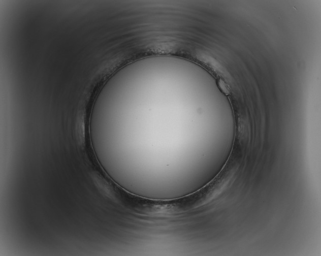 X0000089390493200706291337