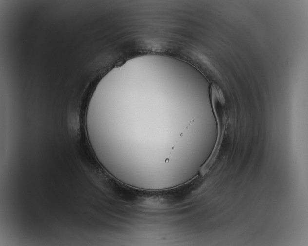 X0000089390500200706291337