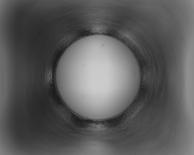 X0000089390502200706291337