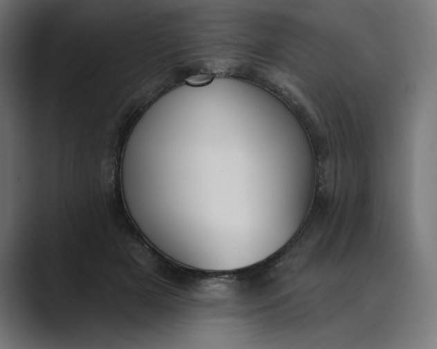 X0000089390505200706291337