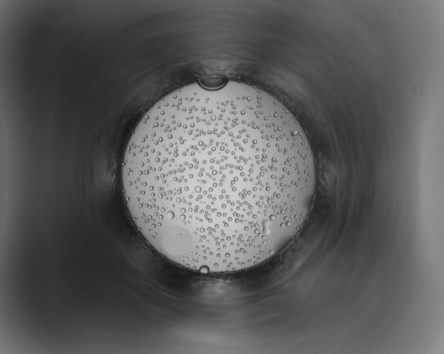 X0000089390507200706291337