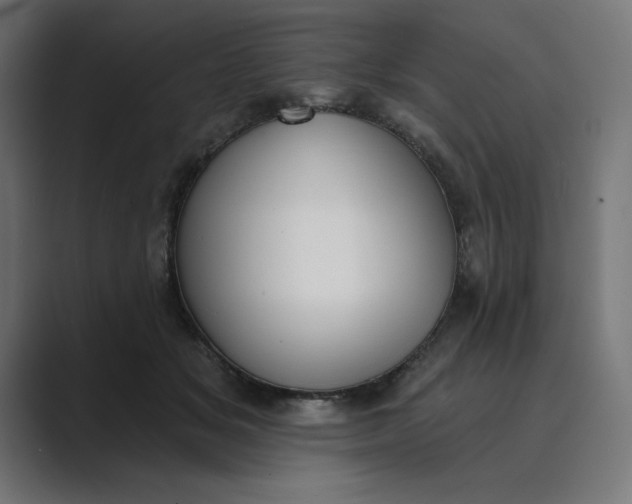 X0000089390509200706291337