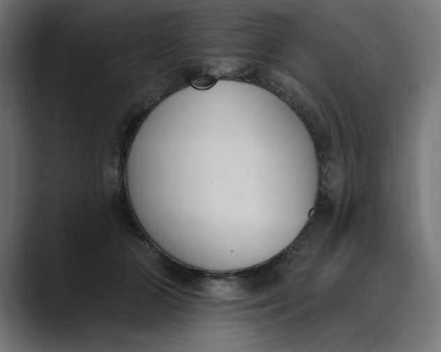 X0000089390510200706291337