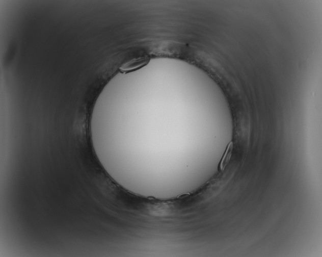 X0000089390513200706291337