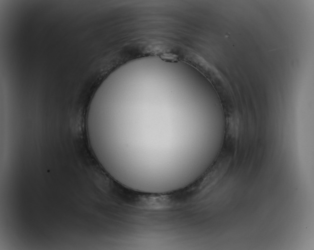 X0000089390517200706291337