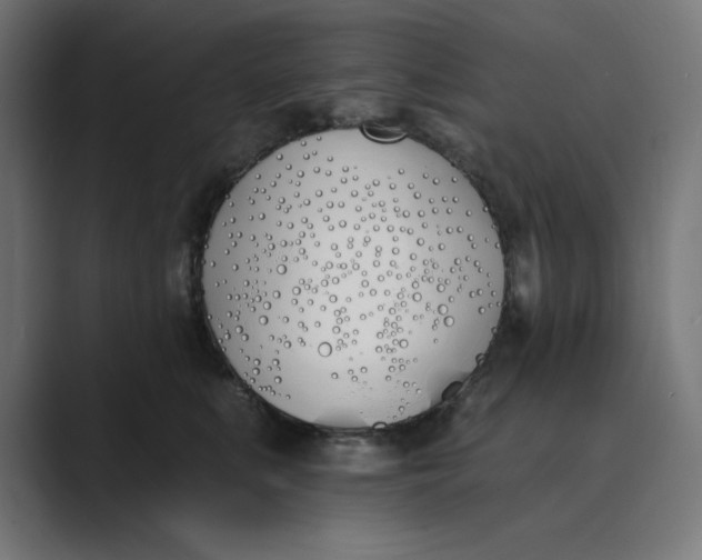 X0000089390519200706291337