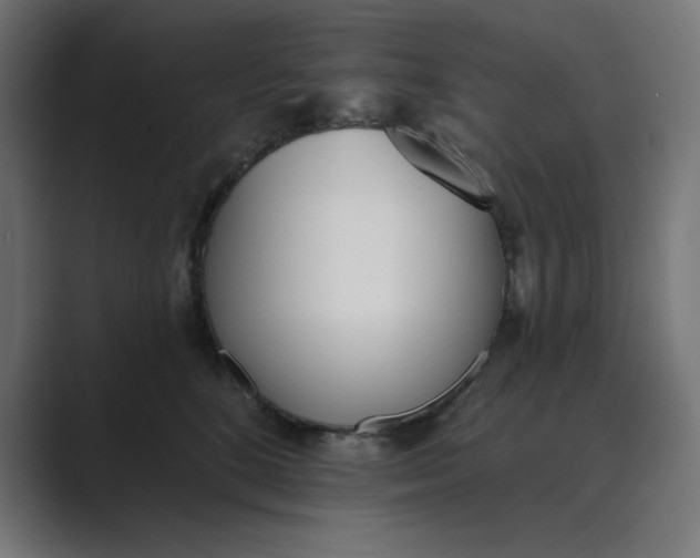 X0000089390520200706291337