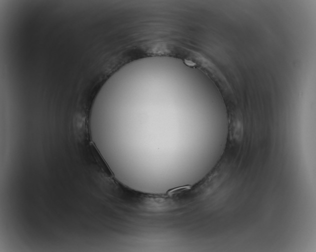 X0000089390521200706291337