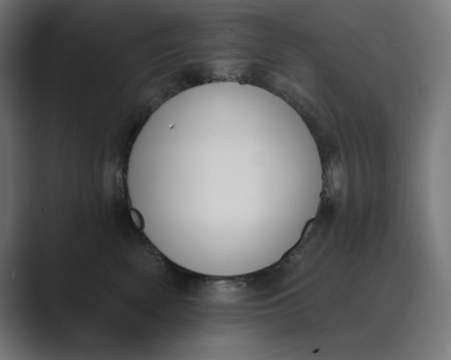 X0000089390522200706291337