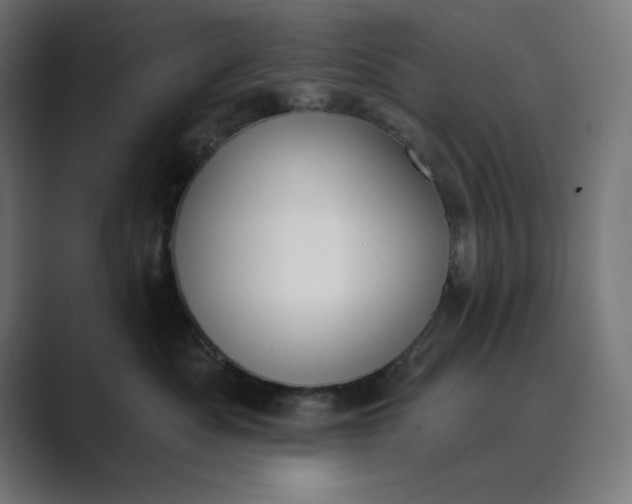 X0000089390525200706291337